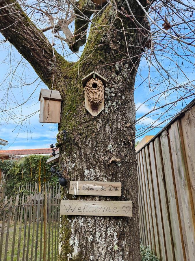 La Cabane De Didi Andernos-les-Bains Exteriör bild
